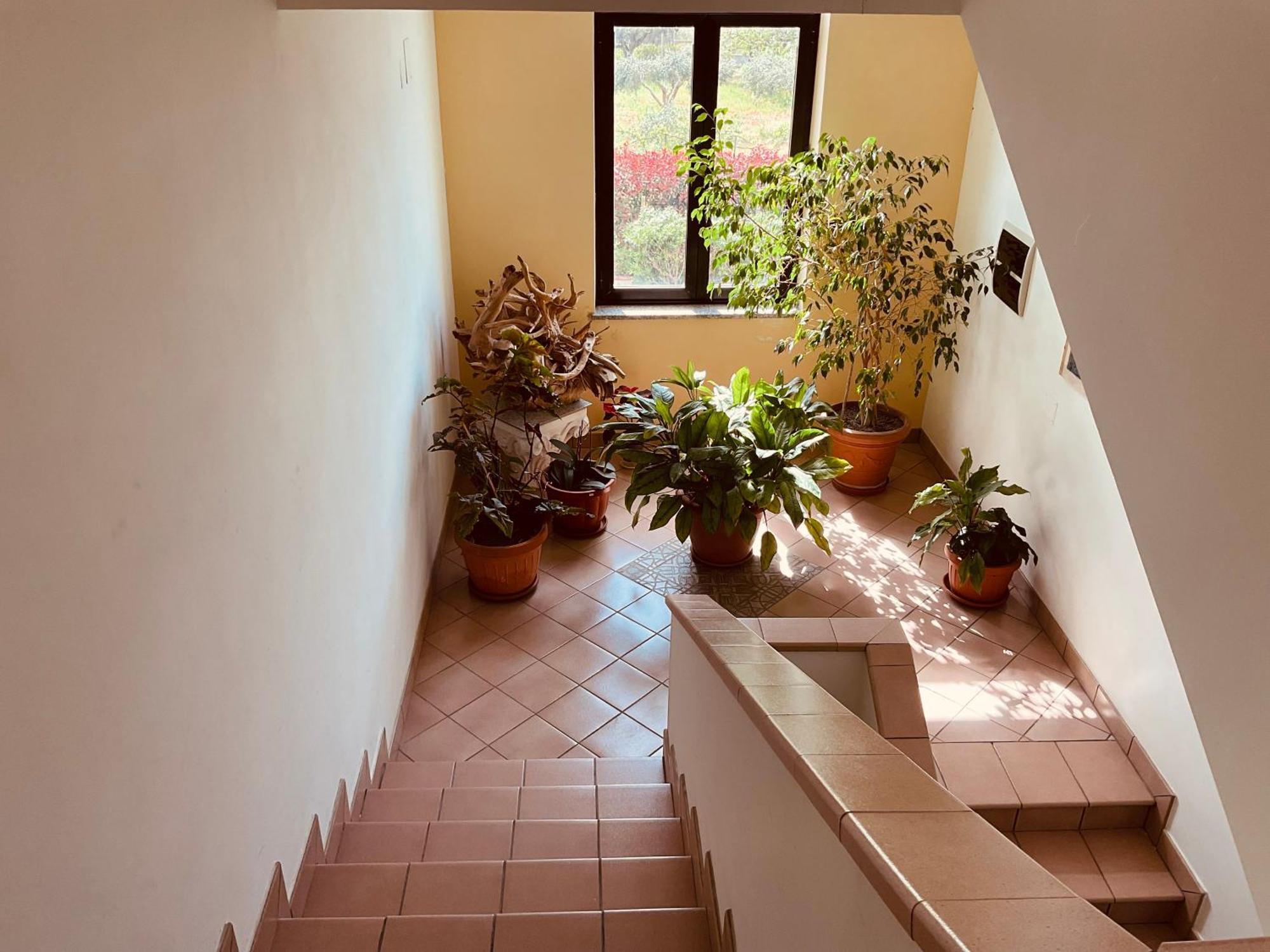Casa Vacanza Demetra Fuscaldo Екстериор снимка